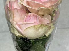 -鹿岛生活(熙地港店)