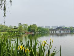 -桃花岛公园