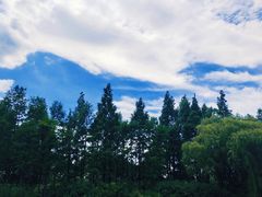 -新江湾城公园