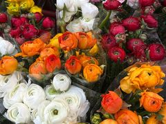 -循礼门鲜花花市(武汉循礼门店)