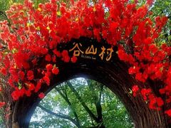-妙峰山风景名胜区