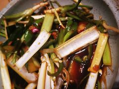 -鸽子窝(黄村店)