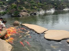 -罗红摄影艺术馆