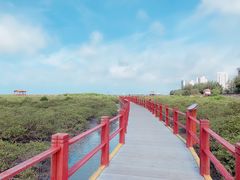 -北海金海湾红树林生态旅游区