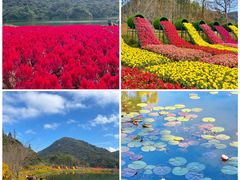 -广州市石门国家森林公园