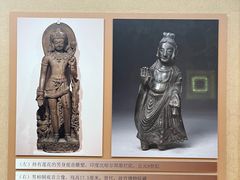 -杭州西湖博物馆总馆