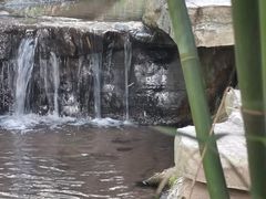 -龙头寺公园