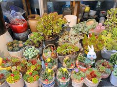 -双季花艺园艺市场(浦东店)