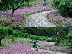 -广州市石门国家森林公园