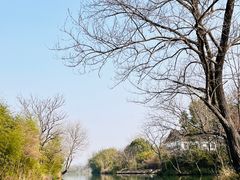 -西溪国家湿地公园