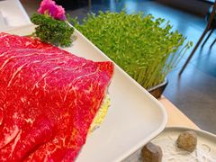 美国安格斯上脑牛肉-煲宫猪肚鸡(晶品店)