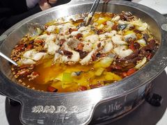 清江鱼-新沸腾鱼乡(世贸天阶店)