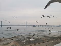 -星海广场