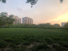 -金星公园