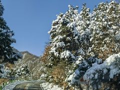 -洛阳白云山景区