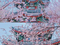 -颐和园