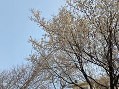-燕儿岛山公园