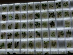 -广州神农草堂中医药博物馆
