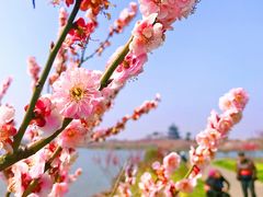 景点-上海海湾国家森林公园