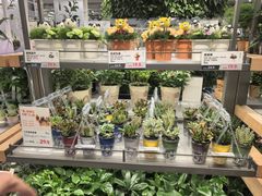 -鹿岛生活(熙地港店)