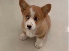 -春晖园度假酒店温泉