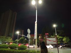 -飞来湖湿地公园