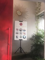 -蚂蚁造型沙龙
