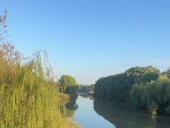 -江滩湿地公园