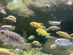 -苏州海洋馆