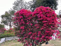 -东莞植物园