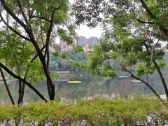 -重庆彩云湖湿地公园