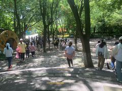 -天目湖山水园