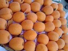 -菜园坝水果市场