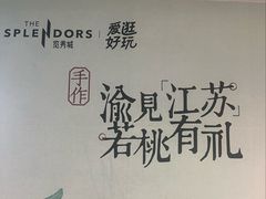 -金茂览秀城