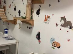 -我爱猫咪·猫咖·狗咖·安哥拉兔·羊驼咖(小寨华旗店)