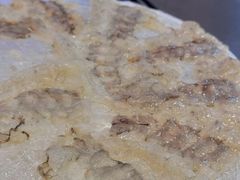 -官塘陈记鱼生·潮汕砂锅粥·牛肉火锅(潮枫路总店)