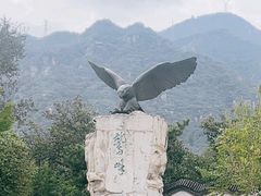 -鹫峰国家森林公园