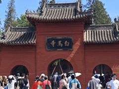 -洛阳白马寺