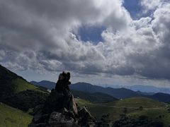 -大姆山草场