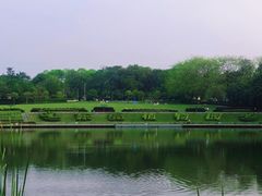 -东莞植物园