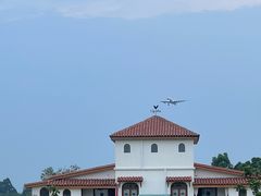 -空港花田景区