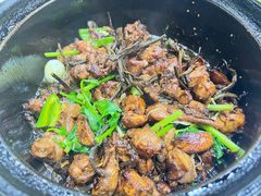 -清真重庆巴爷香辣鸡煲(南小巷店)