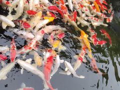 -聚福宝合苑食府(南头镇店)