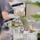上海新潮探店— 光落在谁的脸上 可爱一如既往