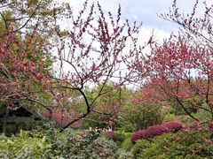 -杭州半山国家森林公园