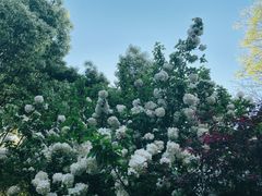 -杭州城北体育公园
