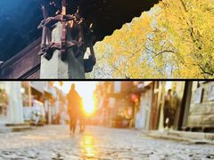 -秋霞圃