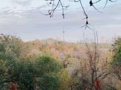 -阿布拉的馕(西北路店)