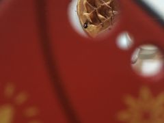 -BUND·FIVE外滩5号(天际店)