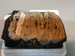 -欢牛蛋糕屋(城西店)